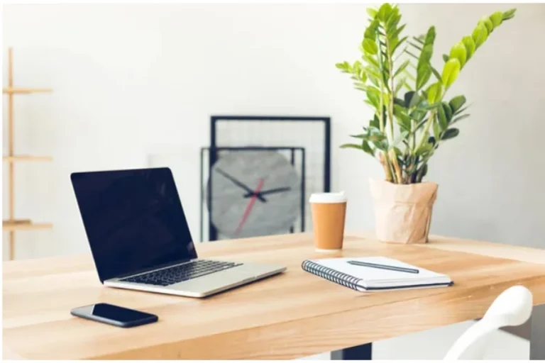 The Evolution of Modern Workspaces: Exploring the Hot Desk Phenomenon Hot Desk